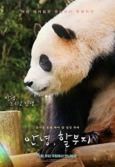 再见,福宝 再见,福宝