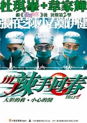辣手回春国语 辣手回春国语