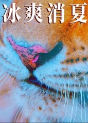 寒冰白血