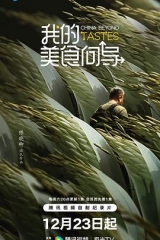 我的美食向导 我的美食向导