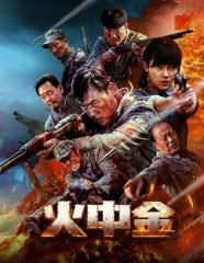 火中金 火中金
