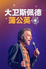 大卫·斯佩德:蒲公英 大卫·斯佩德:蒲公英