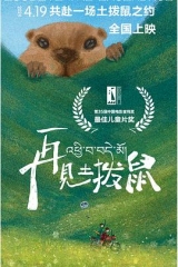 再见土拨鼠 再见土拨鼠