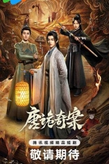唐诡奇案 唐诡奇案