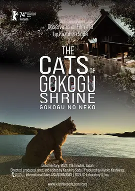 五香宫的猫 五香宫的猫