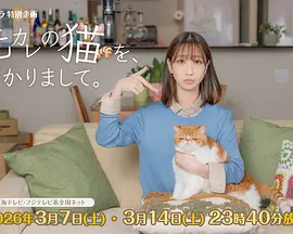 我收留了前男友的猫 我收留了前男友的猫